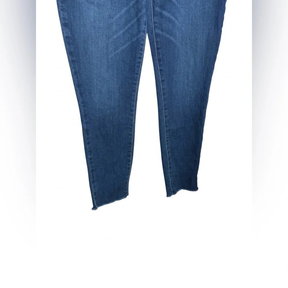 PAIGE chic versatile